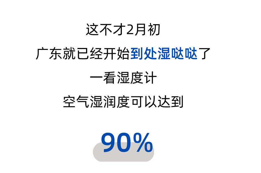 回南天猫都潮了？养猫人注意注意！