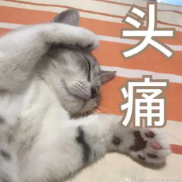 回南天猫都潮了？养猫人注意注意！