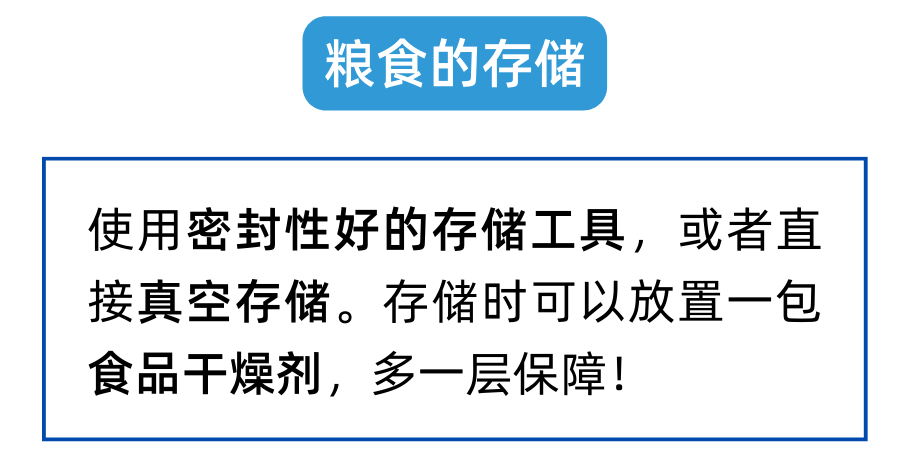 回南天猫都潮了？养猫人注意注意！