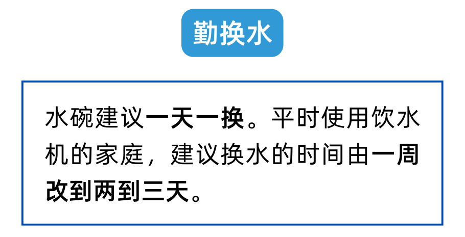 回南天猫都潮了？养猫人注意注意！