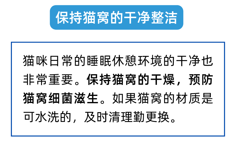 回南天猫都潮了？养猫人注意注意！