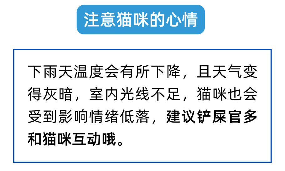 回南天猫都潮了？养猫人注意注意！