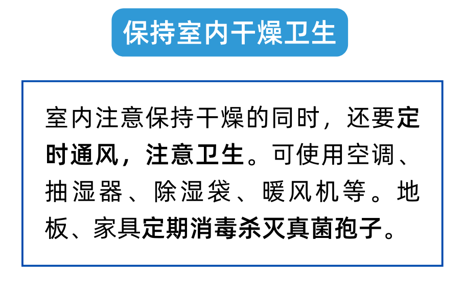 回南天猫都潮了？养猫人注意注意！