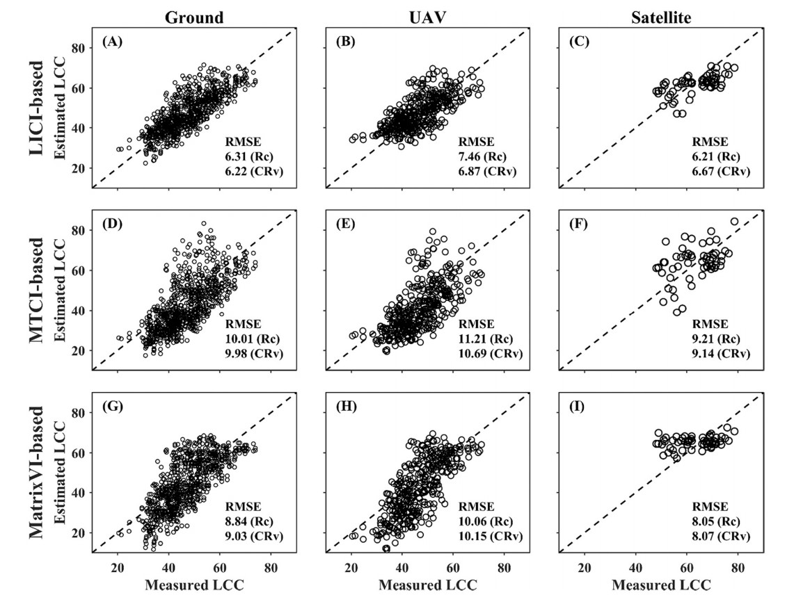 Assessing a soil-removed semi-empirical model for estimating leaf chlorophyll content