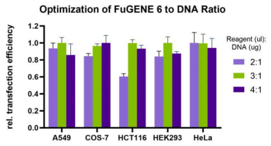 FuGENE® 6 DNA 转染试剂