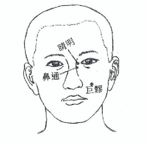 （1）節   介紹一套健體操