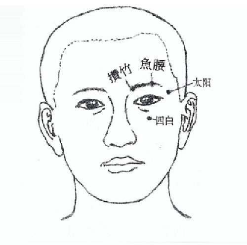 （1）節   介紹一套健體操