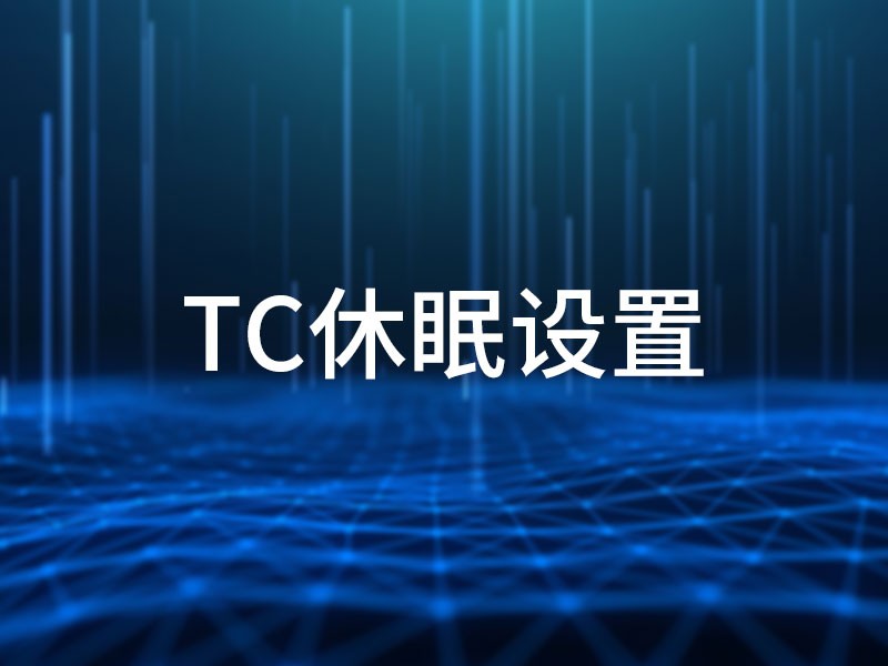 TC休眠设置