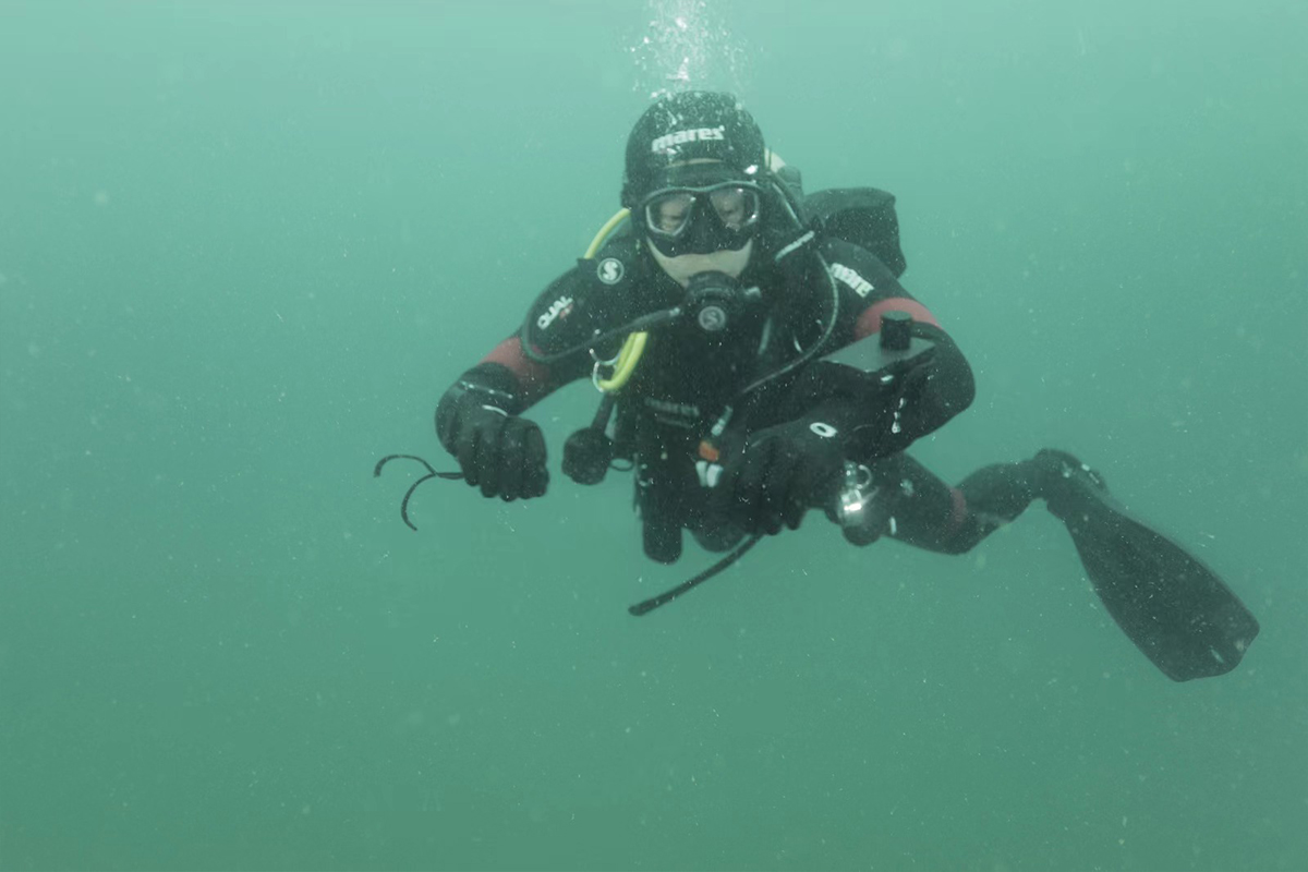 OCheck dive buddy underwater location