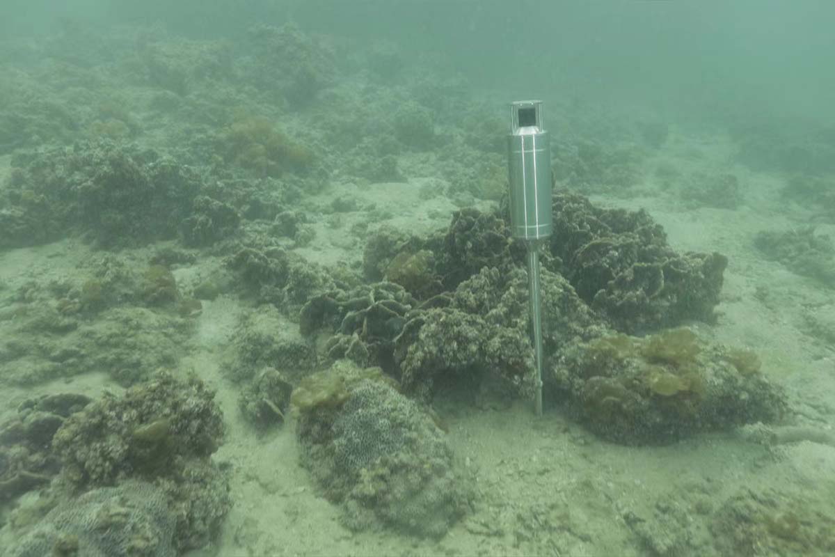 Underwater Locator Beacon was placed in underwater target location