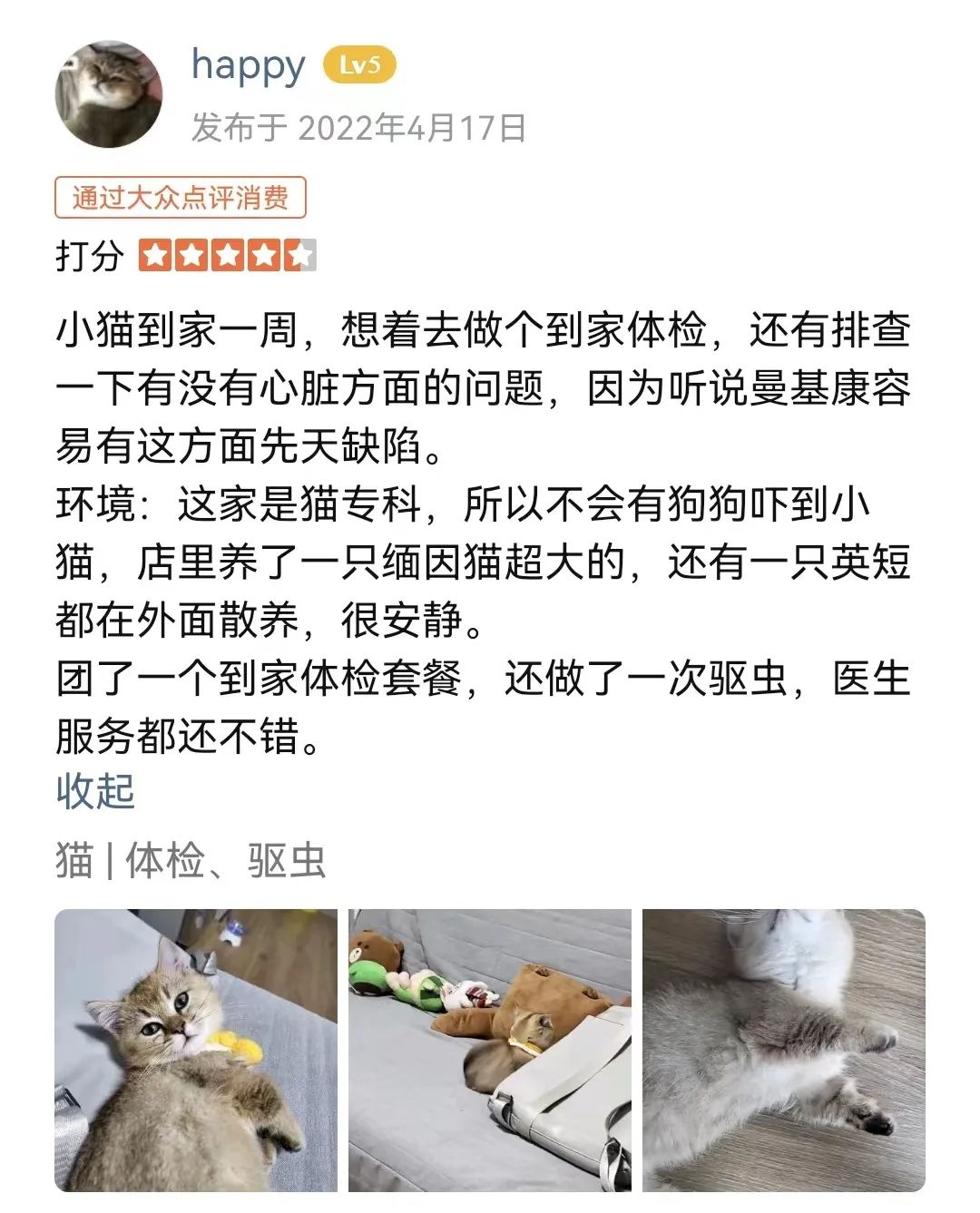 我的猫确诊肥厚性心肌病了……