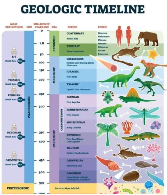 太阳系可能有第二个太阳，每2700万年一次的生物大灭绝与它有关？