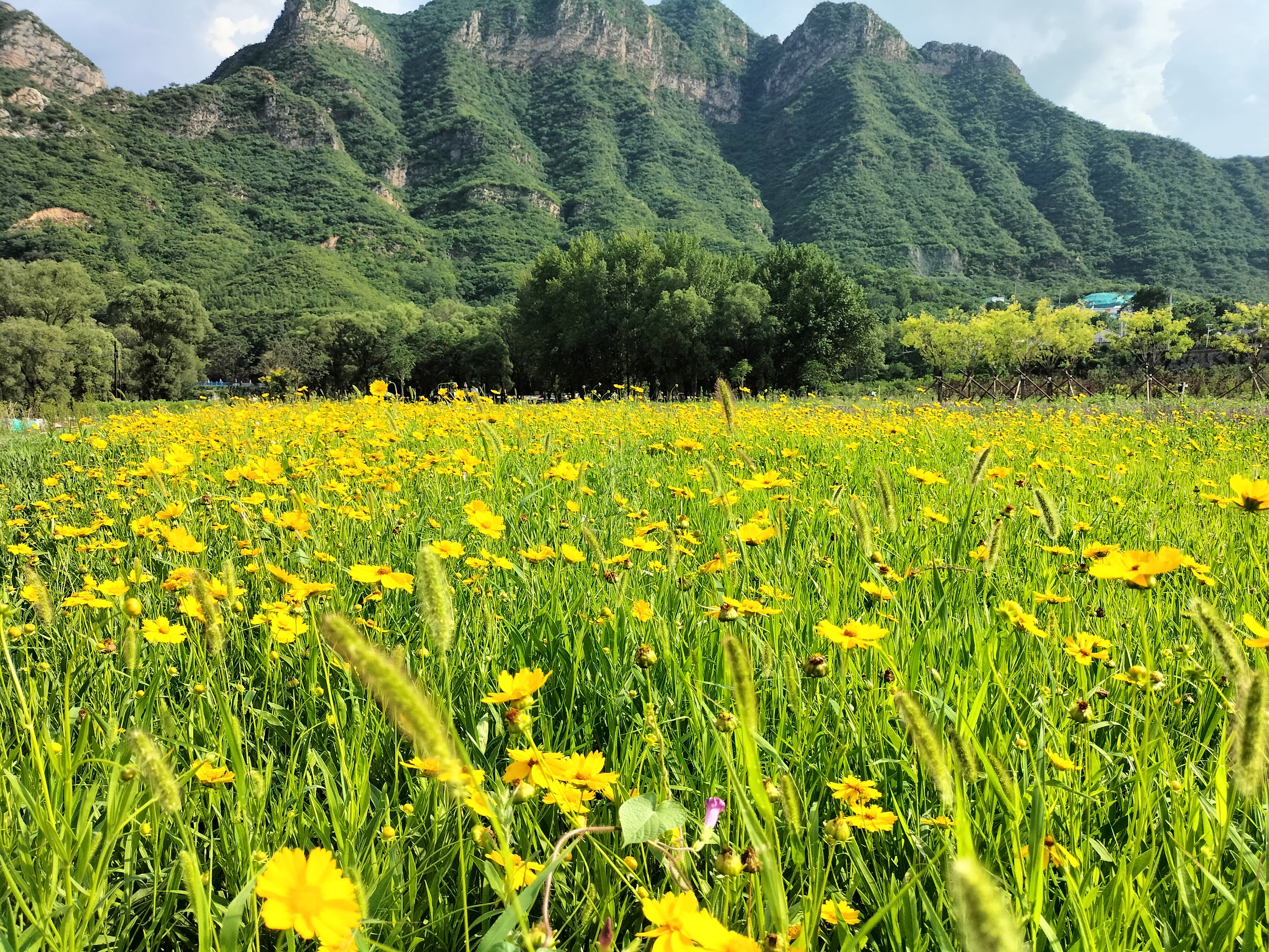【敬请收看】央视《创新进行时》专题报道永定河山峡段青白口湿地,将于2月20日精彩上线 【敬请收看】央视《创新进行时》专题报道永定河山峡段青白口湿地,将于2月20日精彩上线