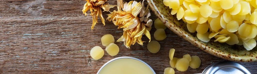 【药辅新品】“蜡” Waxes——药用巴西棕榈蜡、石蜡、微晶蜡、小烛树蜡、蜂蜡