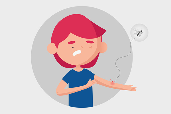 有什么办法可以快速消灭家里的蚊子？