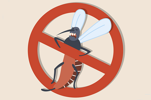 有什么办法可以快速消灭家里的蚊子？