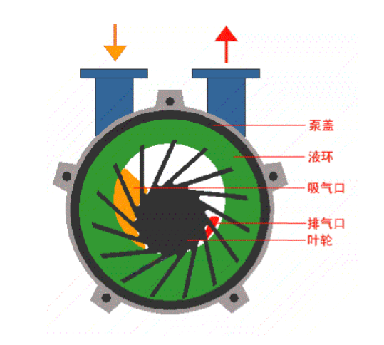 水環(huán)真空泵工作原理,液環(huán)真空泵