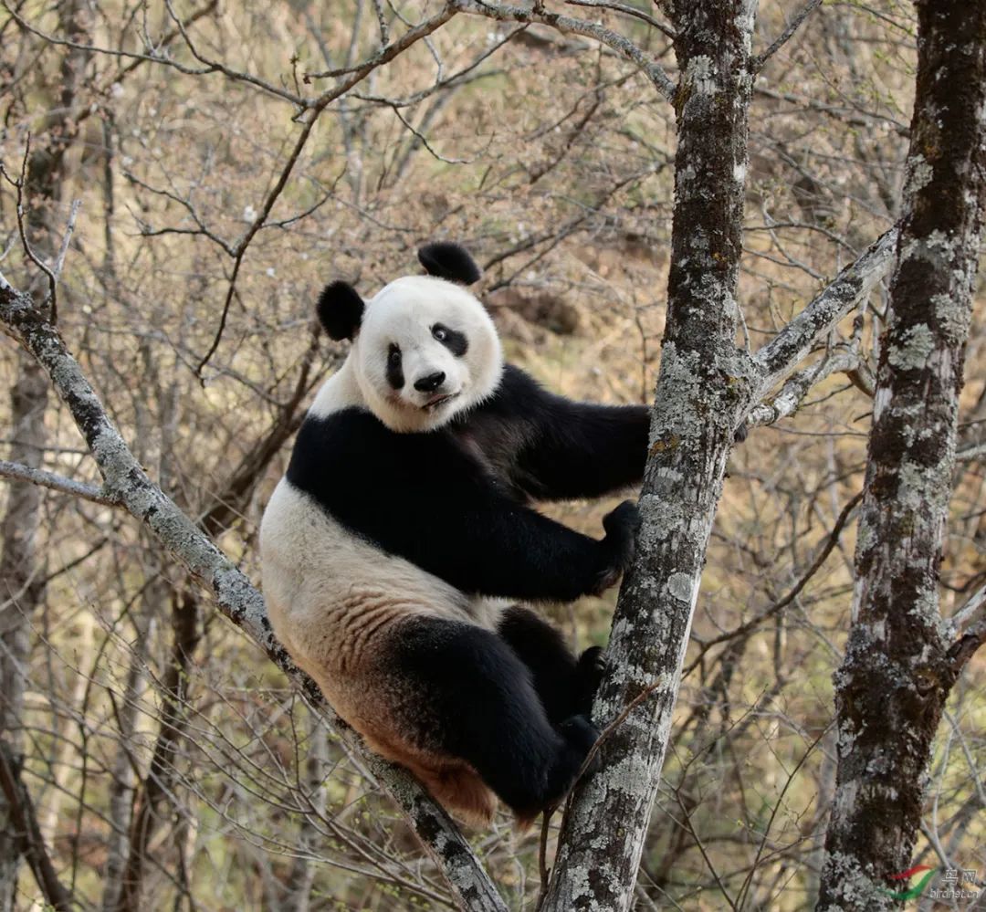 那时的北大，再也回不去了