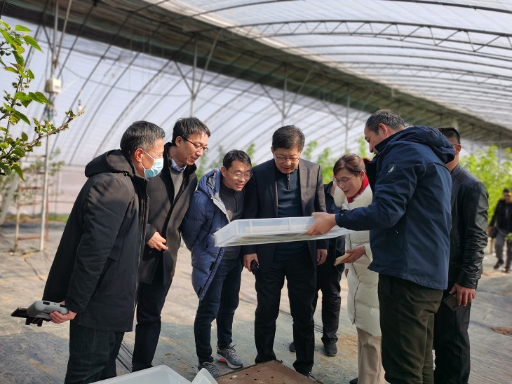 科技创新与科学普及共同助力蚕桑产业创新发展 科技创新与科学普及共同助力蚕桑产业创新发展
