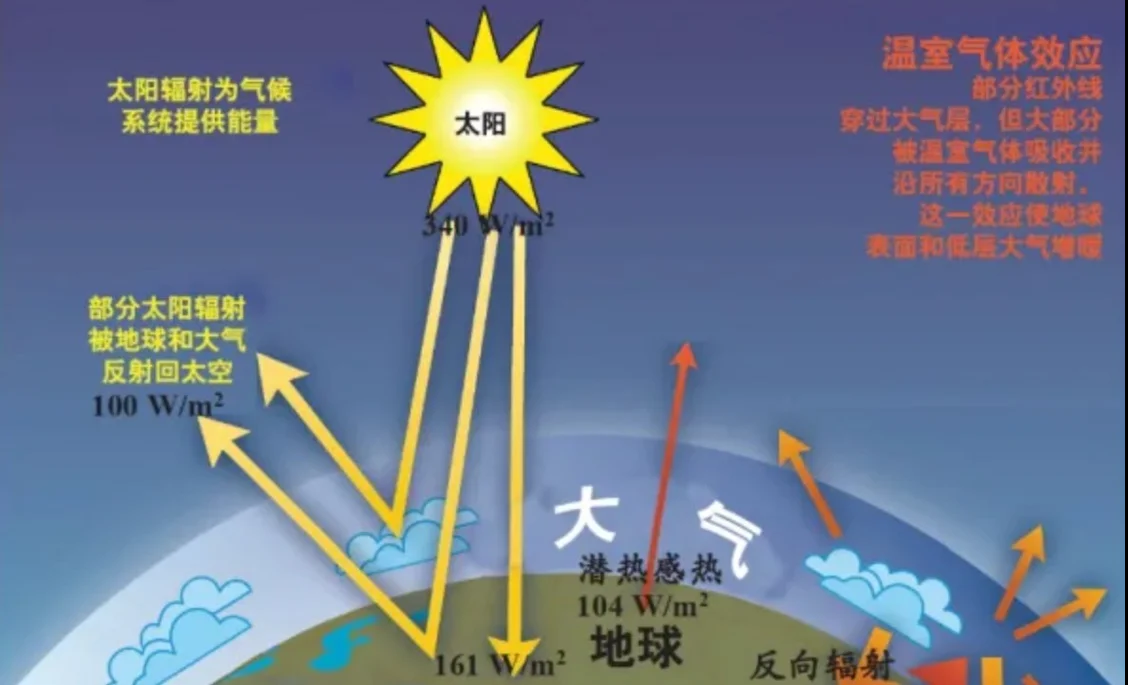 北极挖出史前生物尸体，为何人类会感到不安，潘多拉魔盒开了？