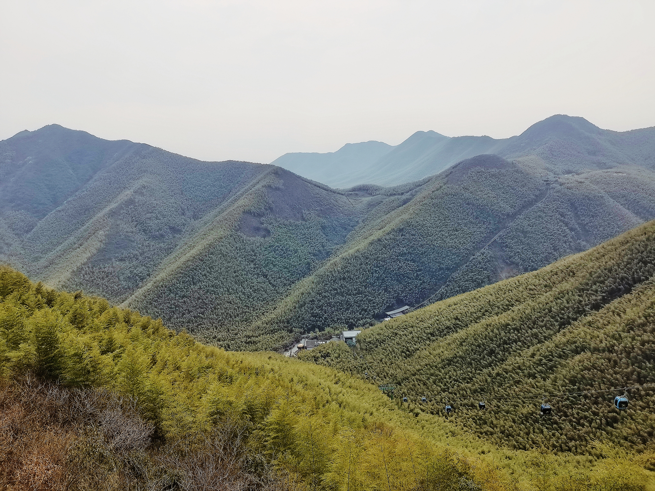 “梅蘭翹楚迎新綠，三月東風送春陽”江寧停車祝愿所有女同胞節(jié)日快樂