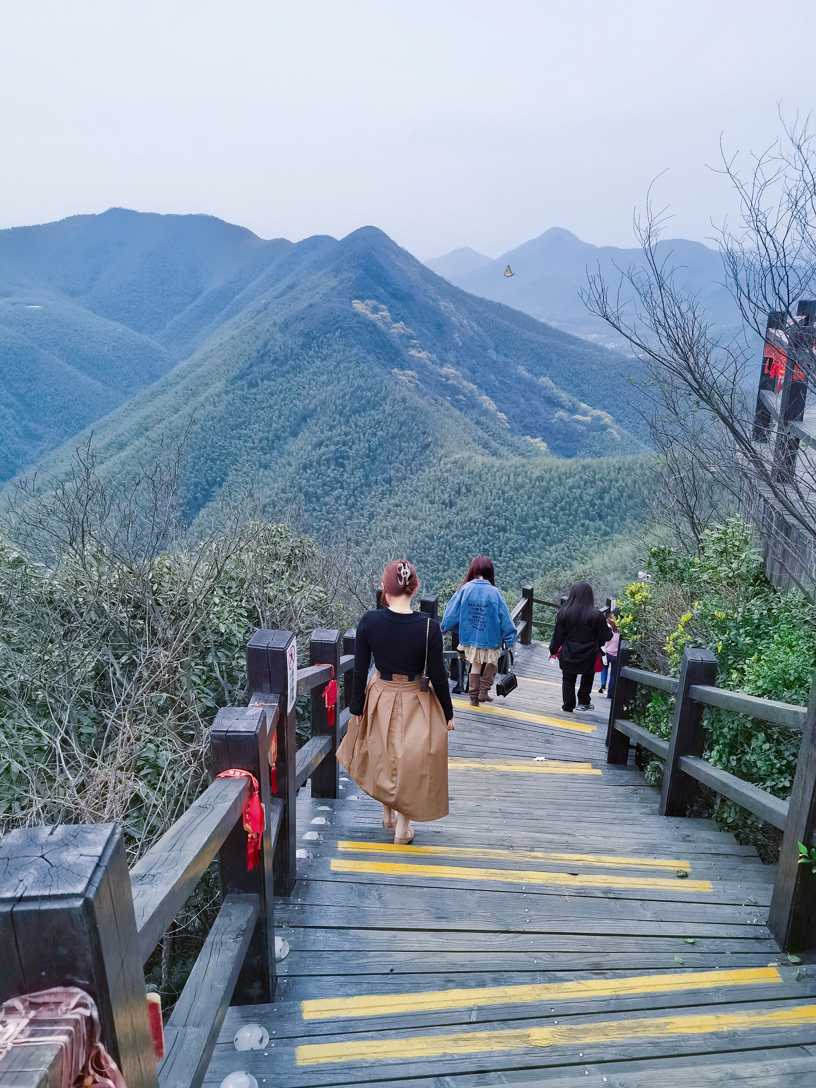 “梅蘭翹楚迎新綠，三月東風送春陽”江寧停車祝愿所有女同胞節(jié)日快樂