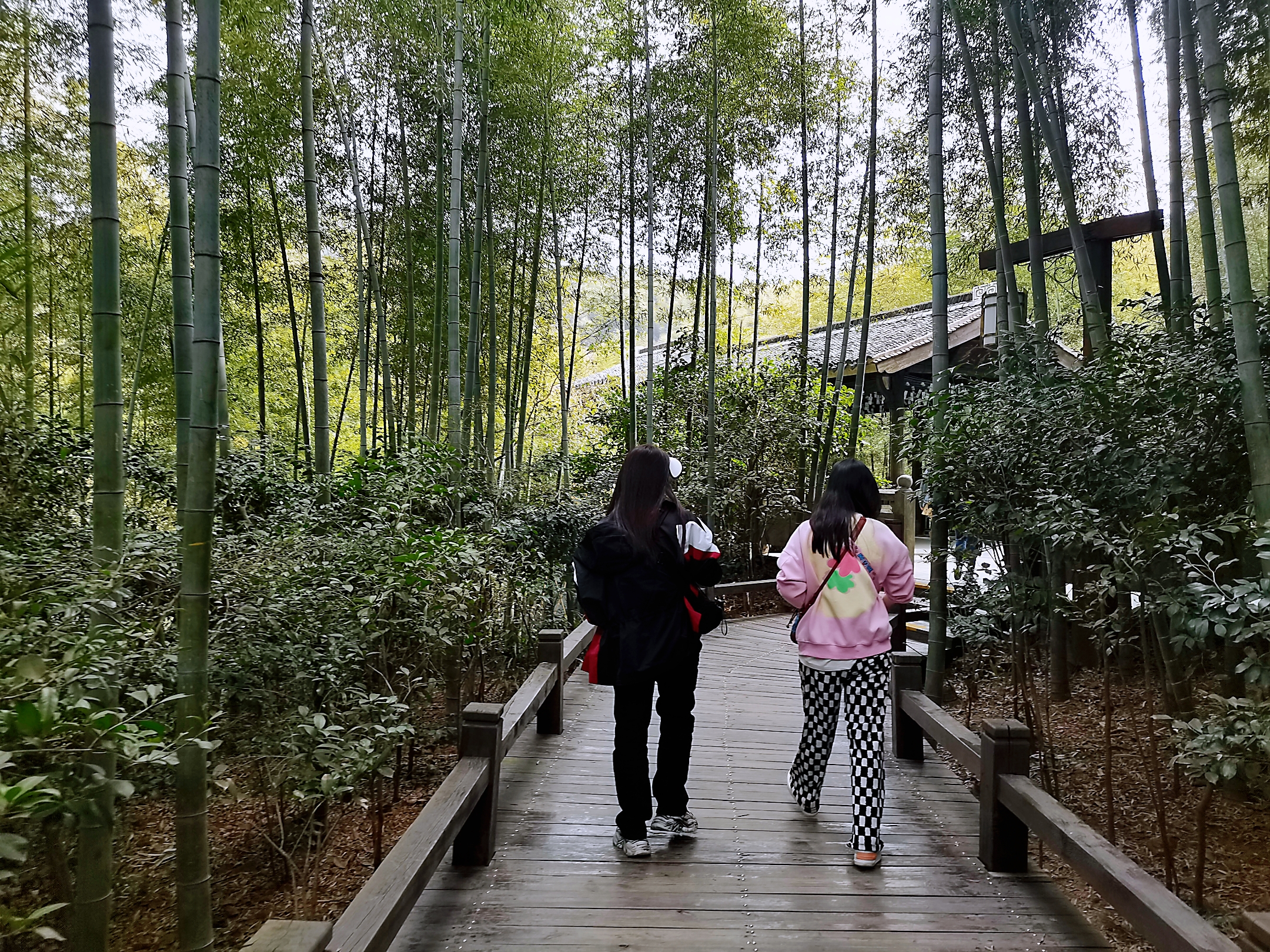 “梅蘭翹楚迎新綠，三月東風送春陽”江寧停車祝愿所有女同胞節(jié)日快樂