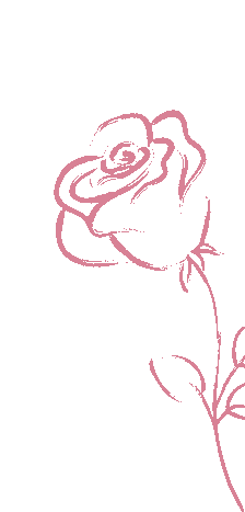 三八·妇女节 | 致敬「最美的她」节日快乐