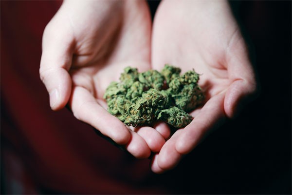 参比制剂的价值：作为行业的灯塔与引领者