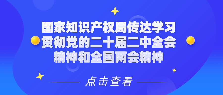 國家知識產權局傳達學習貫徹黨的二十屆二中全會精神和全國兩會精神