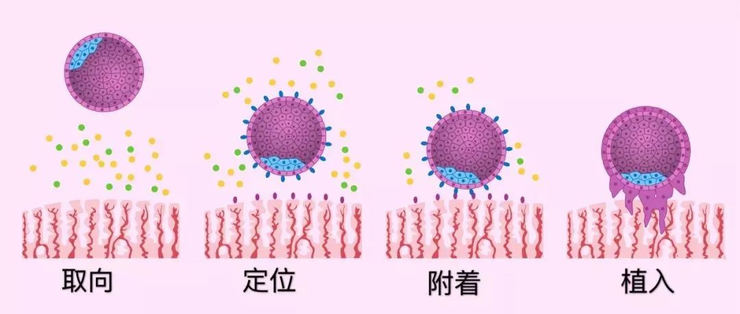 为什么做了试管还怀不上孕？