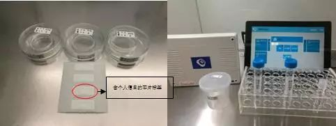 我的胚胎医生真的不会弄错吗？