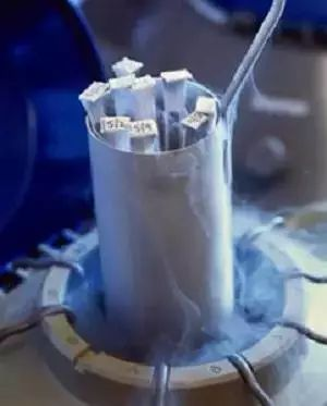 我们到底需要多少卵子？