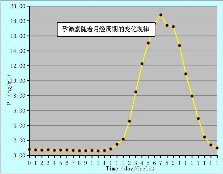 孕酮有多重要?帮助胚胎植入和内膜增厚的“必须激素” 孕酮有多重要?帮助胚胎植入和内膜增厚的“必须激素”