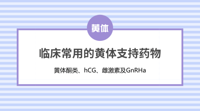 孕酮有多重要?帮助胚胎植入和内膜增厚的“必须激素” 孕酮有多重要?帮助胚胎植入和内膜增厚的“必须激素”