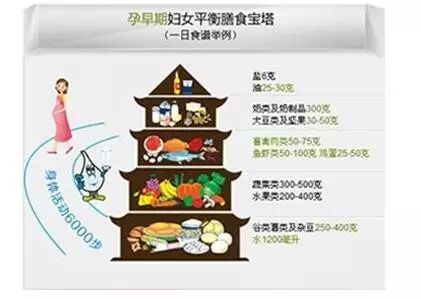 孕早期的膳食指导