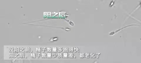 总结贴|阳了后对于试管备孕的影响，以及各阶段应对措施