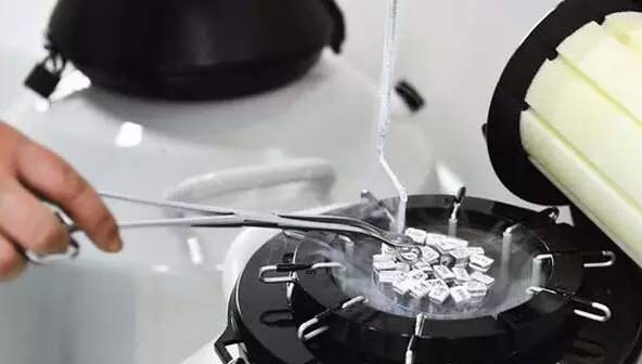 “试管婴儿”冻胚移植的三种方案