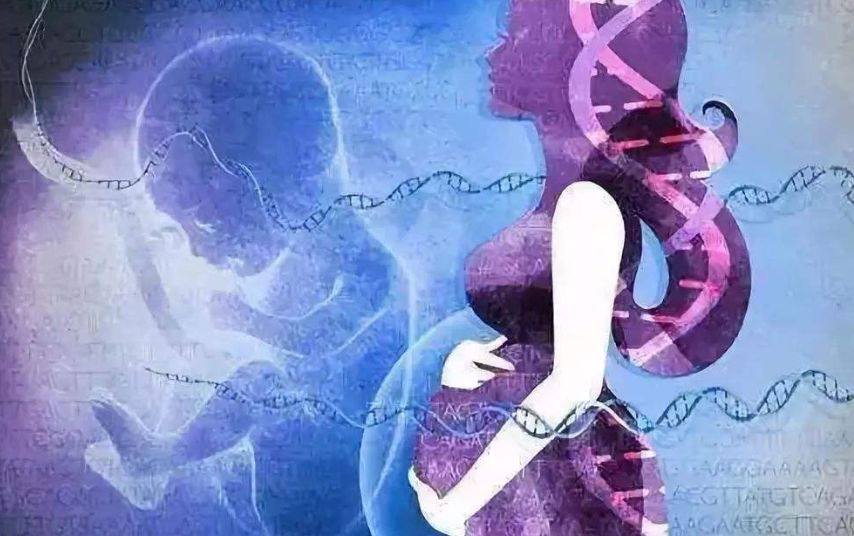完全正常”染色体的第三代试管婴儿