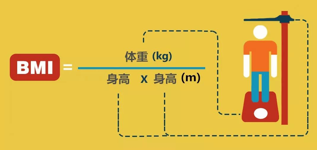 肥胖是试管婴儿治疗的大敌
