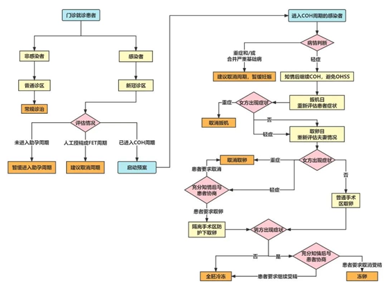 感染了新冠，还能做试管吗？