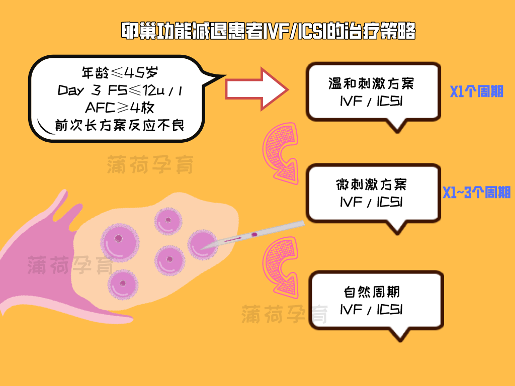 高龄女性艰难求子之路