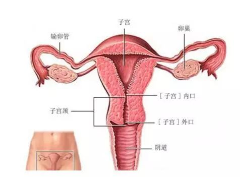 宫颈环扎的保胎措施 宫颈环扎的保胎措施