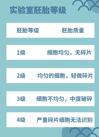 评分较低的III级胚胎不一定要废弃或听天由命！