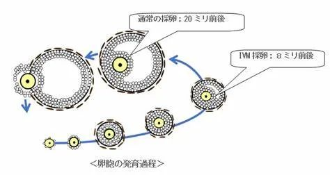 强求的缘分也是緣：不熟卵子未完的缘分