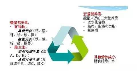 如何选择孕期复合维生素？