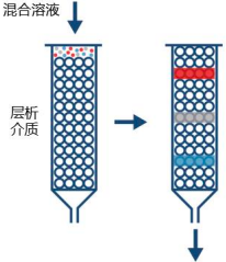 2023年色谱介质、生物药色谱介质、色谱柱市场发展规模前景预测及未来市场投资建议规划可行性研究