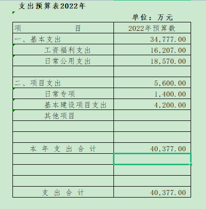 2022年支付预算表