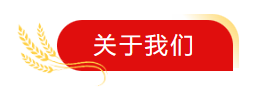 荣光加冕、口碑认证丨上海万澄荣获2022年度中国水泥行业“智造先锋供应商”奖