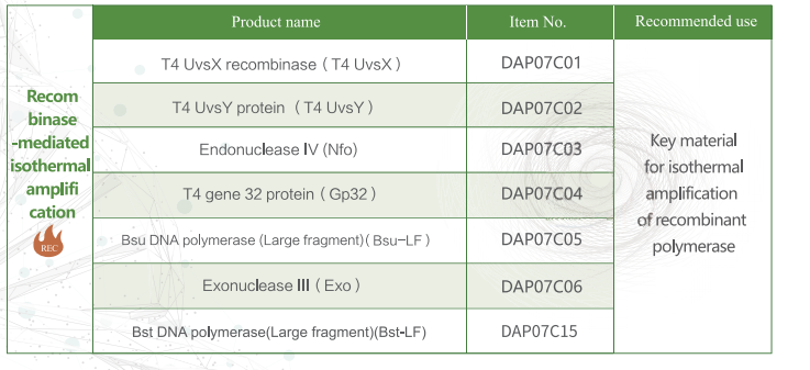 One-stop service for RPA raw materials | Ultra-high-purity RPA probes simplify the research and deve